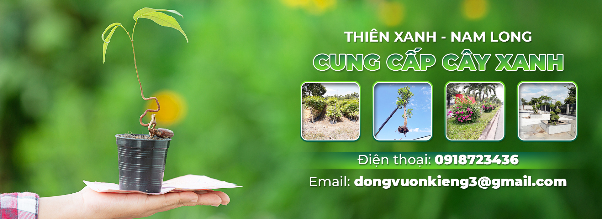 CÔNG TY TRÁCH NHIỆM HỮU HẠN MỘT THÀNH VIÊN THƯƠNG MẠI DỊCH VỤ THIÊN XANH - NAM LONG
